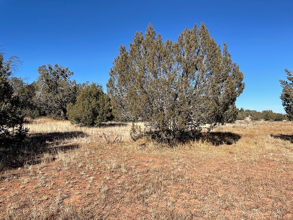 1st image of 55499 N Brisa Ln