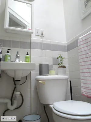 Rented by Native Real Estate LLC | media 30