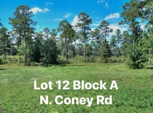 N Coney Rd LOT 12, Cordele, GA 31015