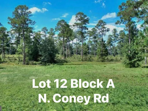 N Coney Rd Lot 12, Cordele, GA 31015