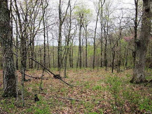 3rd image of 0 Coyote Crest Ln