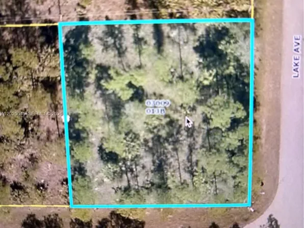 807 E 8th St, Lehigh Acres, FL 33972