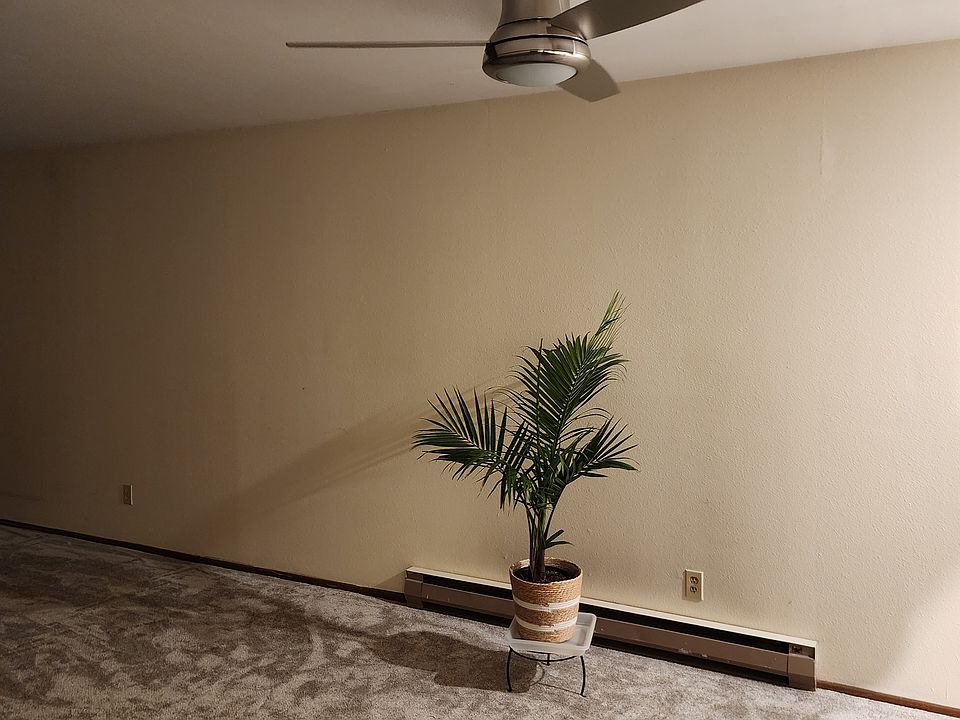 Ceiling fan in dining room area