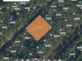 209 SE Paradise Lakes Ave LOT 5, Georgetown, FL 32139