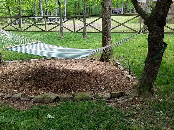 Fenced-in back yard