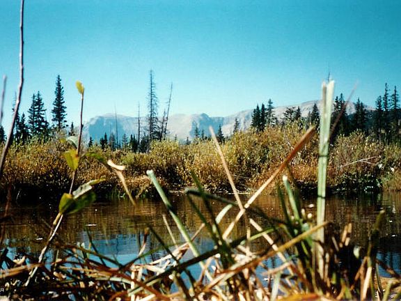 2nd image of Nhn Off Highway 89