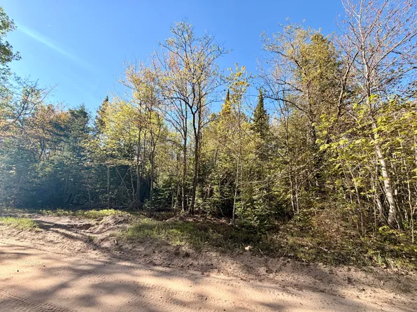 0 County Road 422, Mc Millan, MI 49853