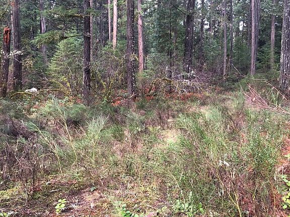 3rd image of McKenzie River Dr