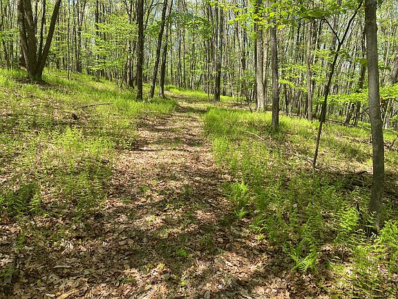 4th image of 0 Sylvan Grove Rd