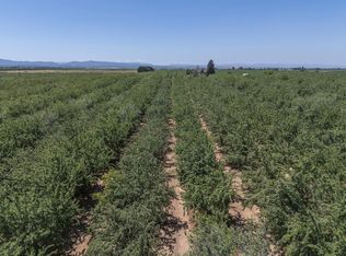 1450 Alexander Hill Ln, Dunnigan, CA 95937