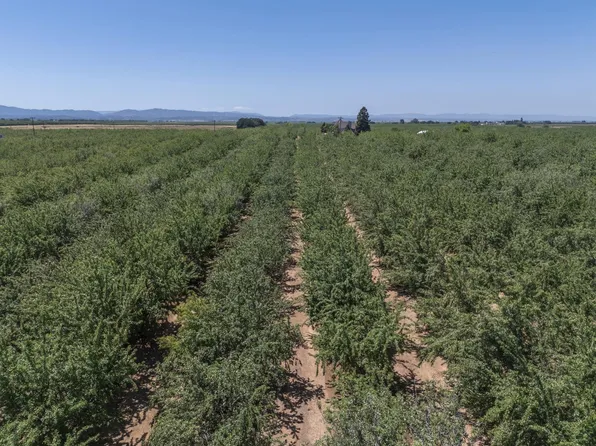 1450 Alexander Hill Ln, Dunnigan, CA 95937
