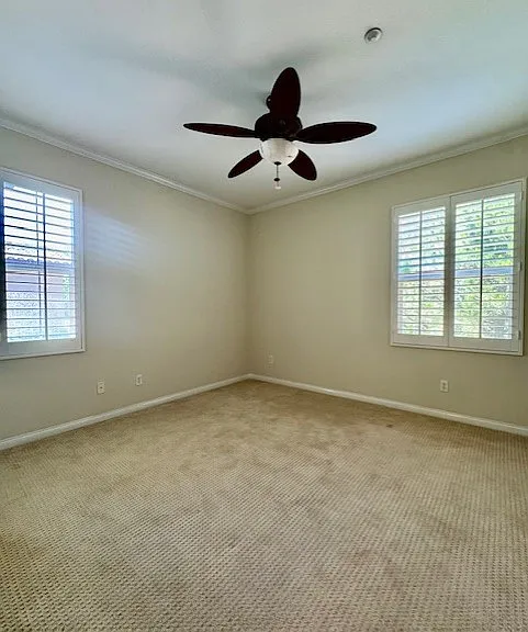 116 Coral Rose — Photo 20