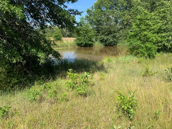 TRACT 15 Highway 24, Madison, MO 65263