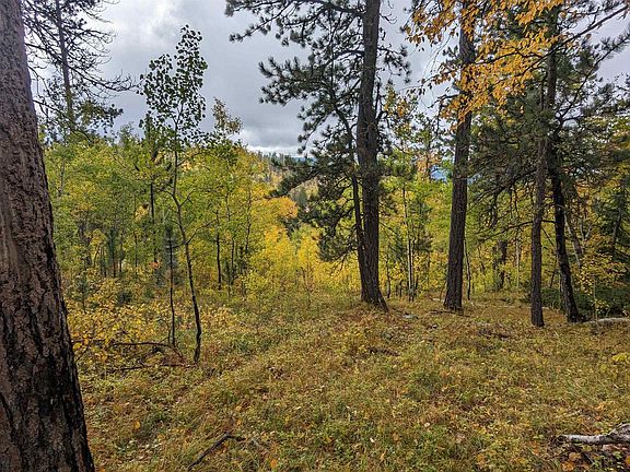 5th image of Prodigal Son Ld Terry Summit Rd