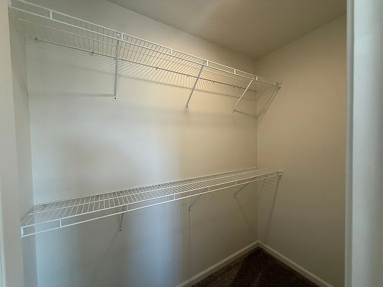 10906 Constant Dr — Photo 12