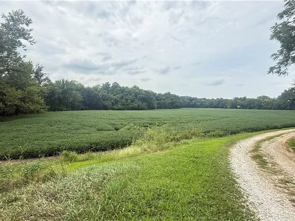 3027 Dade School Rd, Odessa, MO 64076