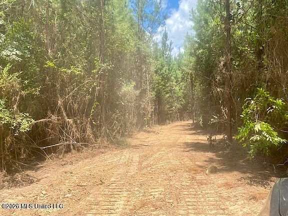 4th image of Archie Boyd Rd