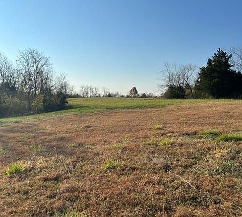 2nd image of LOT 4 Highway 491