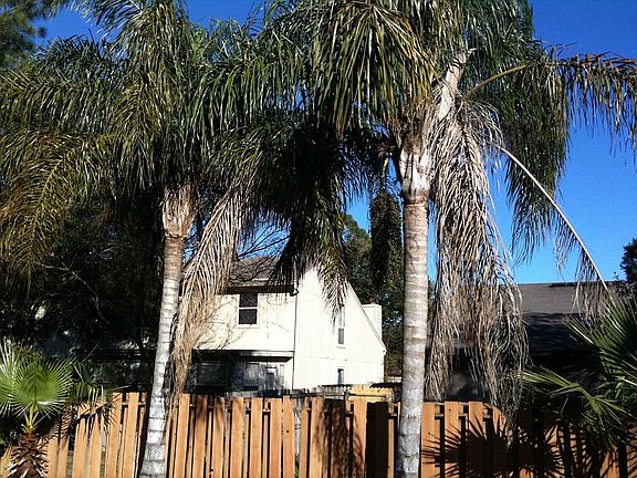 palm trees next to pool 