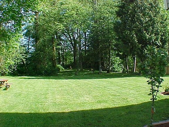 The right combination of sun & shade