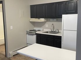 1 bed, 1 bath Apartments - First month rent free!