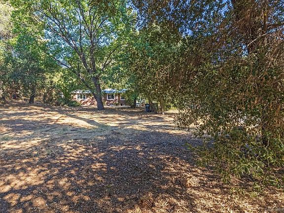 4th image of 3221 Dolores Dr