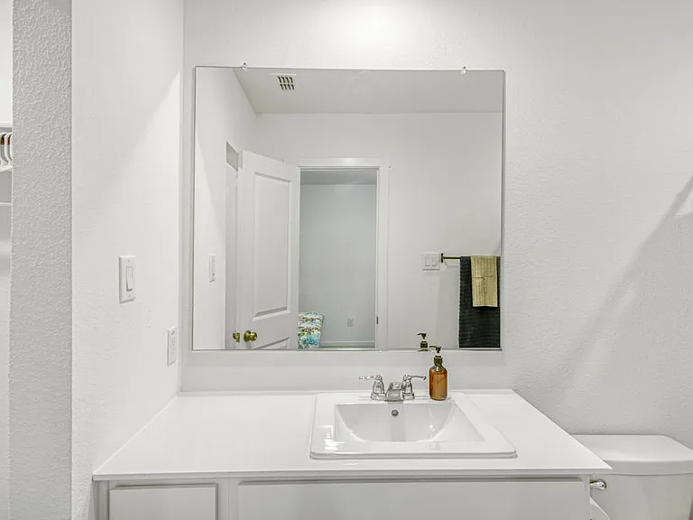 717 Sandhill Crane Ln — Photo 17