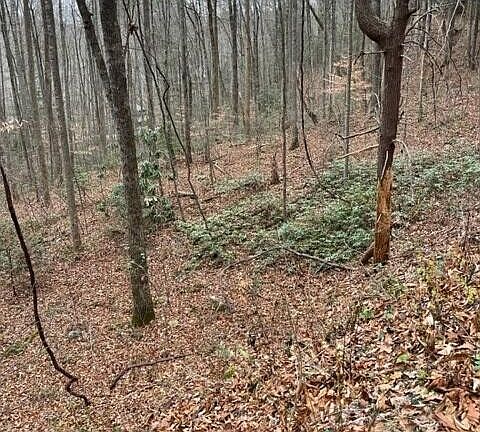 5th image of 5 Hickory Hollow Way Lot 5