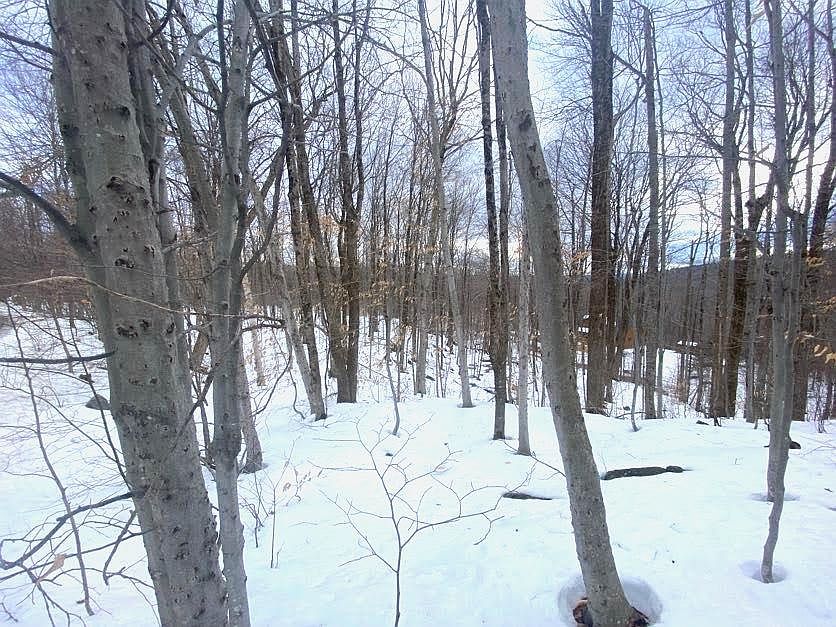 2nd image of 25 Tom's Cabin Road