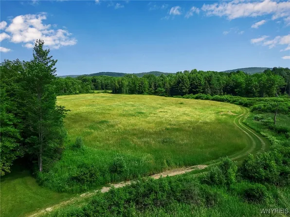 0 Toad Hollow Rd #4, Little Valley, NY 14755