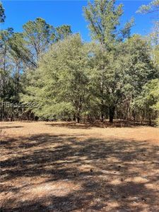 NULLD Stock Farm Rd, Ridgeland, SC, 29936