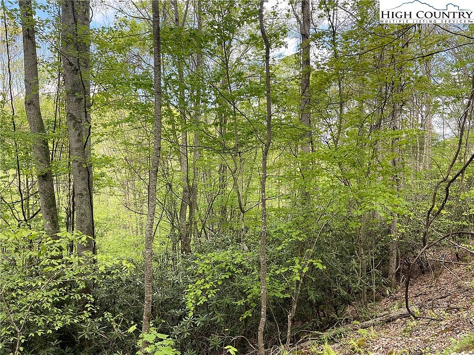 2nd image of 117 Deergrass Road