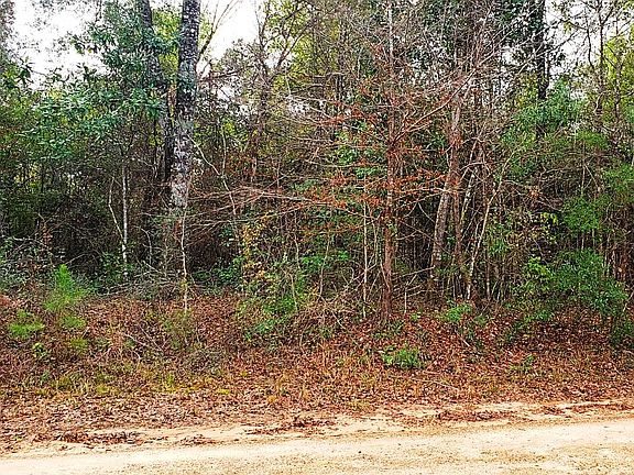 4th image of 1 County Road 2096