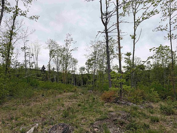 5th image of 367 Height of Land Road