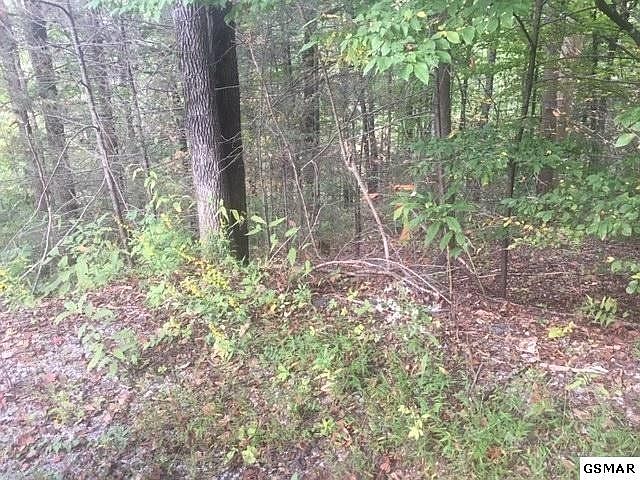 1st image of 19 Sulpher Springs Way Lot 19-20