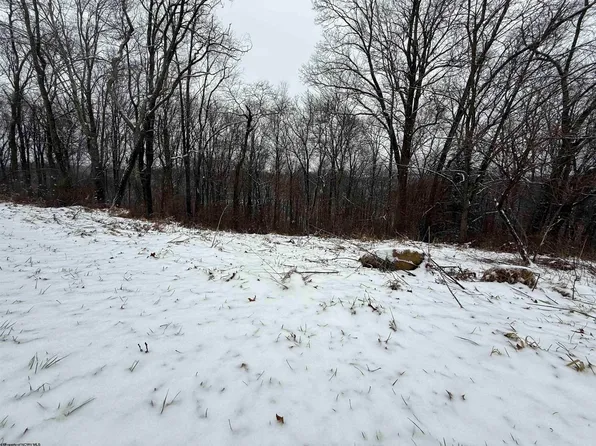 22 Coopers Rock Dr, Bruceton Mills, WV 26525