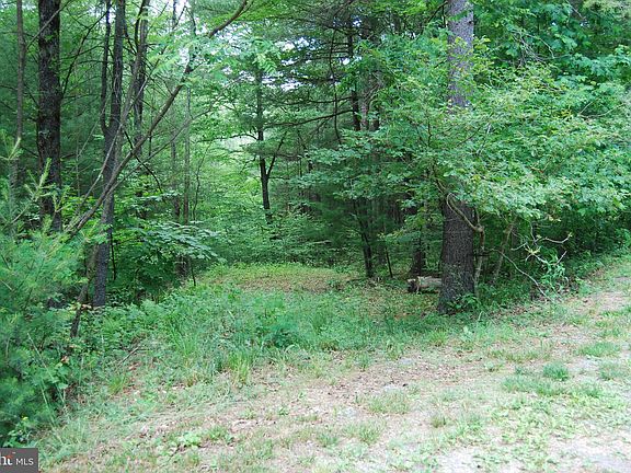 4th image of 33 Brooke Trout Dr