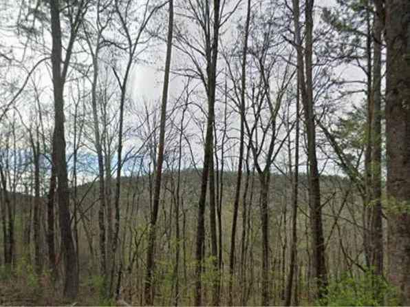 0 Red Valley Rd #0, Remlap, AL 35133