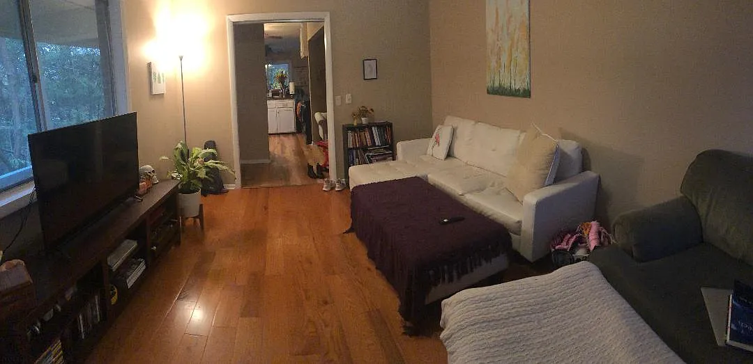 3 bed, 800 sqft, $2,000 — Photo 3