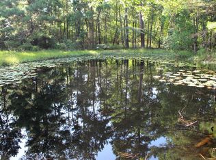 26132 Clark Rd, Waller, TX 77484