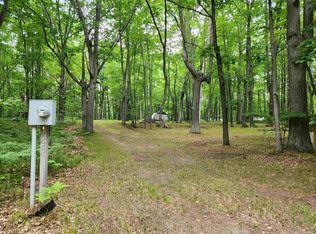 2556 Spruce Hill Dr, Farwell, MI 48622