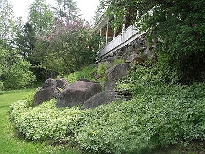 Snow on the mountain