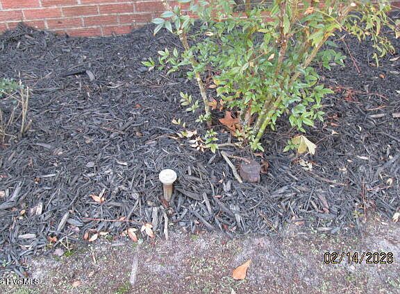 4th image of 3311 Tobacco Road