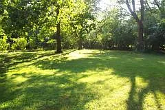 Shady fenced back yard