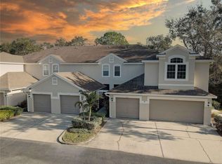 3663 Country Pointe Pl, Palm Harbor, FL 34684