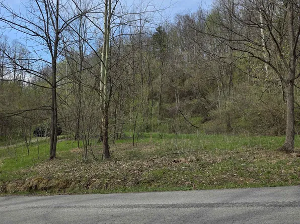 Crooked Fork Rd, Walkersville, WV 26447