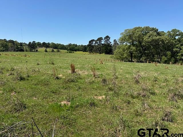 1st image of Fm 2685