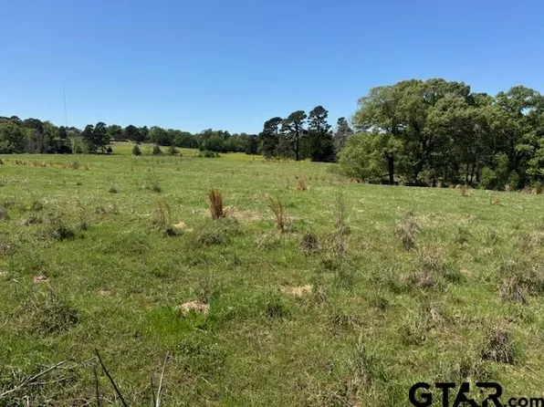 Fm 2685, Gilmer, TX 75645