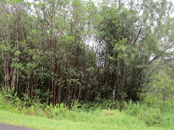 11-3162 Hibiscus St Lot 7329, Mountain View, HI 96771