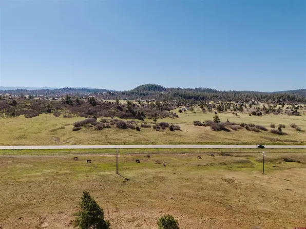 X Dichoso Street, Pagosa Springs, CO 81147